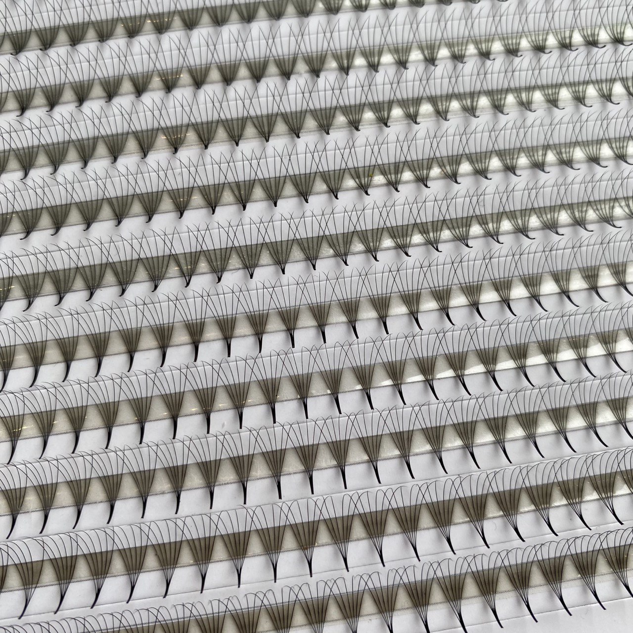 Premade Fan XXL Tray 40 Lines 6D